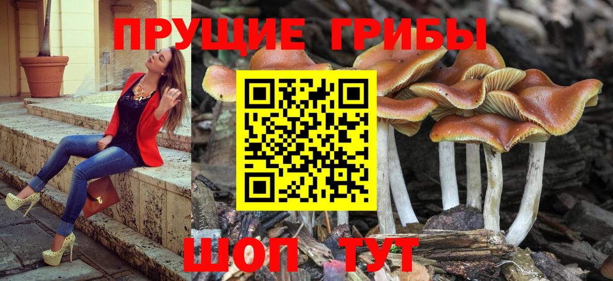 Галлюциногенные грибы MAGIC MUSHROOMS Междуреченск