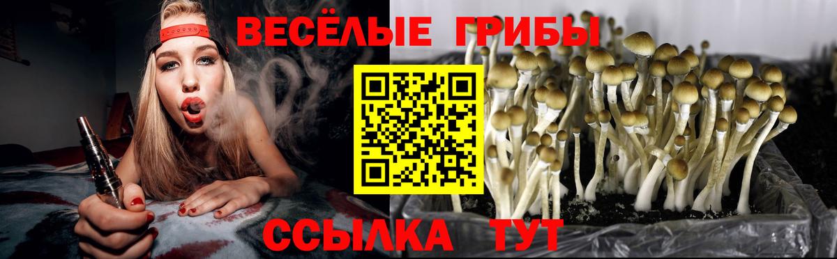 Галлюциногенные грибы Psilocybine cubensis  Псилоцибиновые грибы Cubensis  цена   Междуреченск  Вход с VPN 